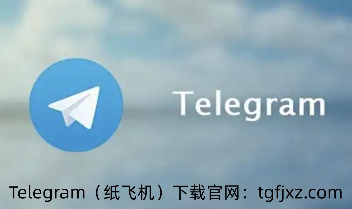 纸飞机信息网站,纸飞机app官网中文版