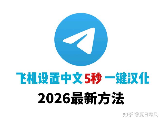 纸飞机app中文版,纸飞机app中文版设置方法