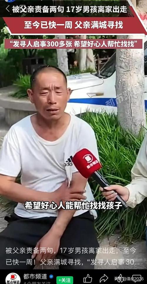 17岁男孩被父亲责备后失联,17岁男孩将家暴父亲砍伤致死