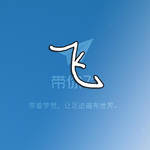 纸飞机中文安装,纸飞机中文app