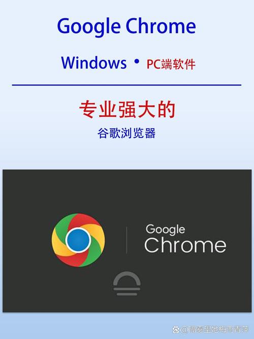 谷歌浏览器下载官网电脑版,google浏览器下载电脑版