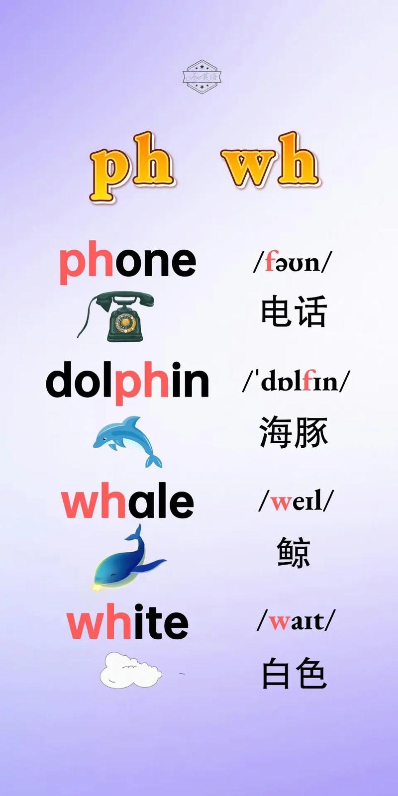 phonology的读音,phonics怎么读什么意思
