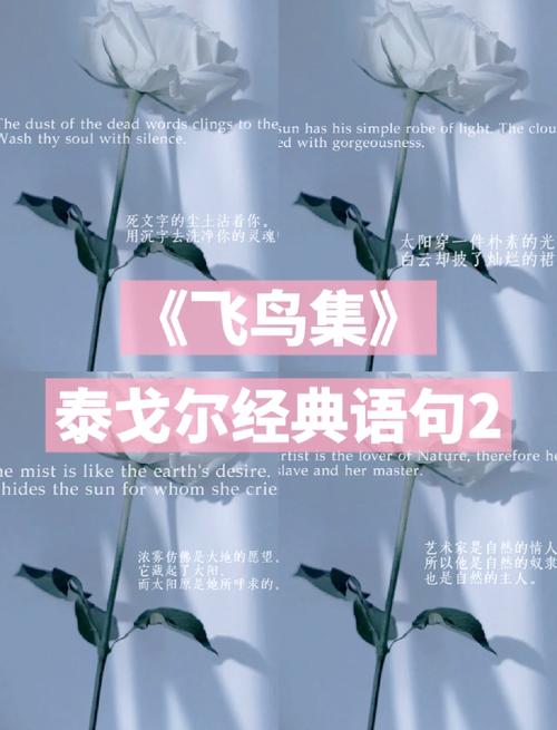 飞机群在天上飞,飞机飞在天上是病句吗