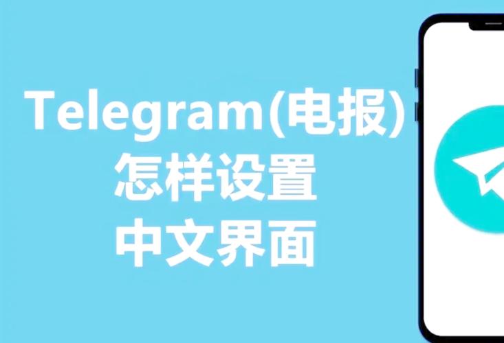 纸飞机没有中文选项怎么改中文的简单介绍