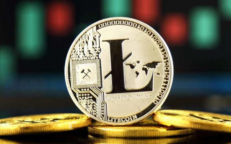 莱特币etf,莱特币etf被禁了