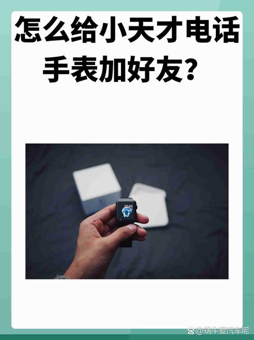 whatsapp一键加好友,whatsapp一键添加人软件