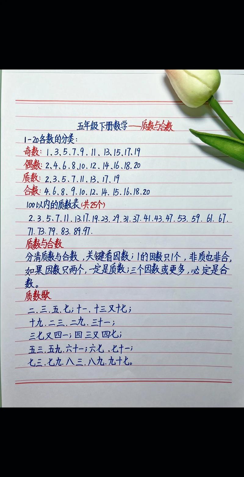 什么是质数什么是合数五年级的书,小学五年级数学什么是质数什么是合数