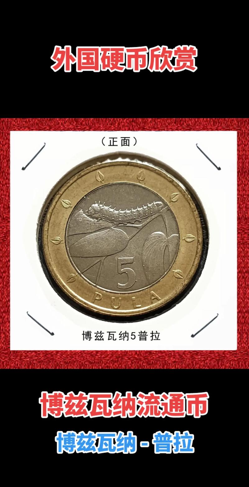索拉那是什么币,索拉是一种什么乐器