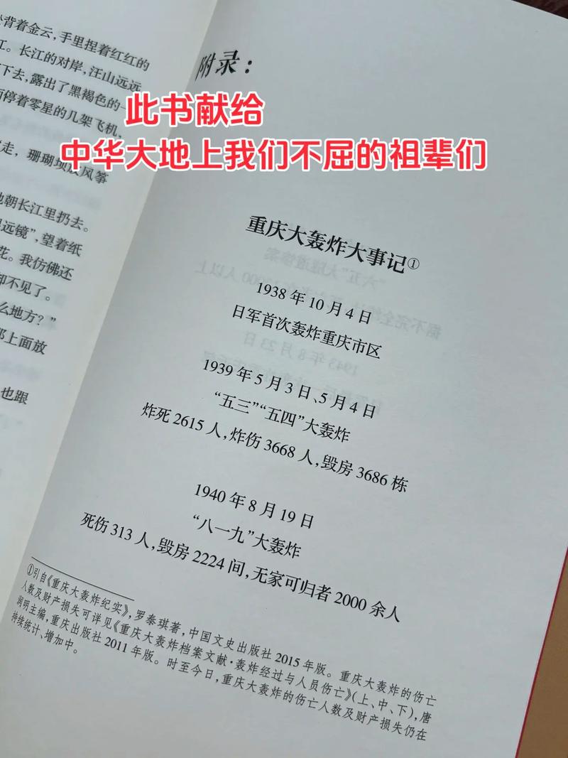 纸飞机潭石小说讲的什么,纸飞机潭石长佩
