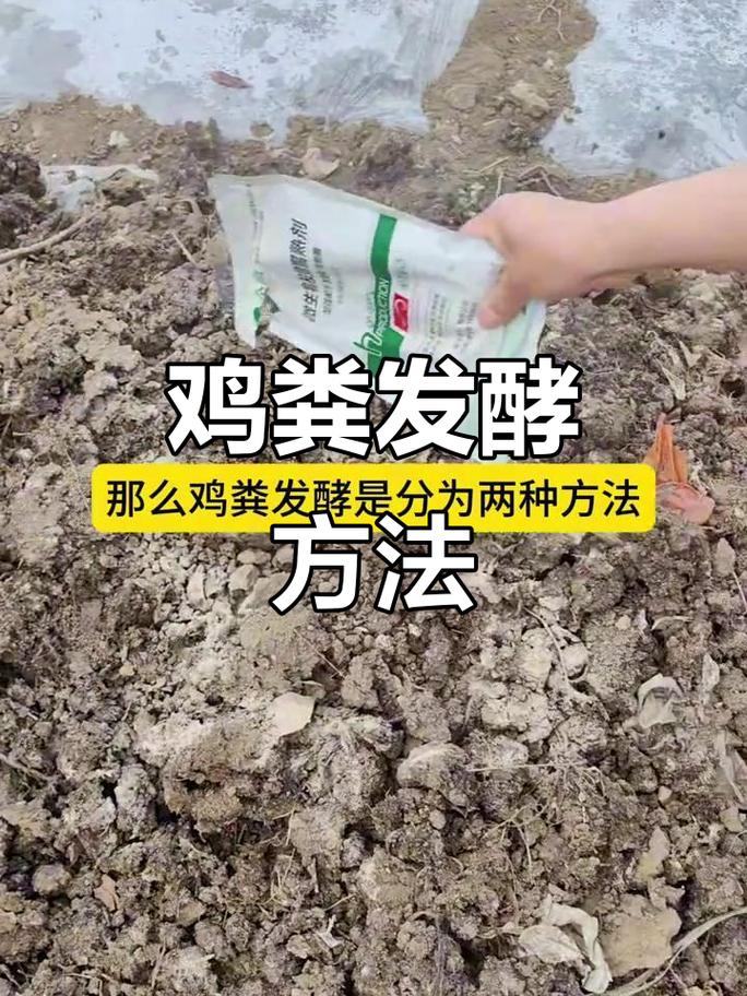 如何堆肥自己做肥料,如何堆肥自己做肥料?堆肥过程中需要注意哪些细节?