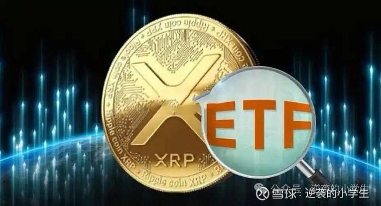 瑞波币近期新闻报道,瑞波币近期新闻报道视频