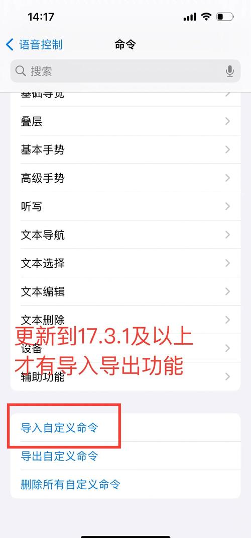 ios版的飞机怎么设置中文,ios版的飞机怎么设置中文语音