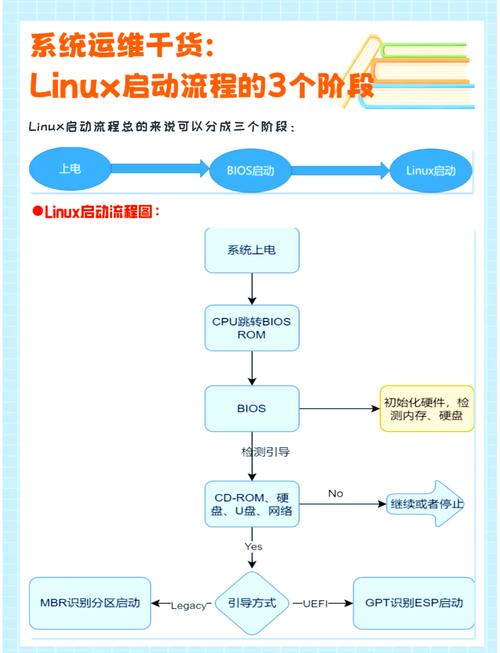 program怎么使用,program软件使用教程