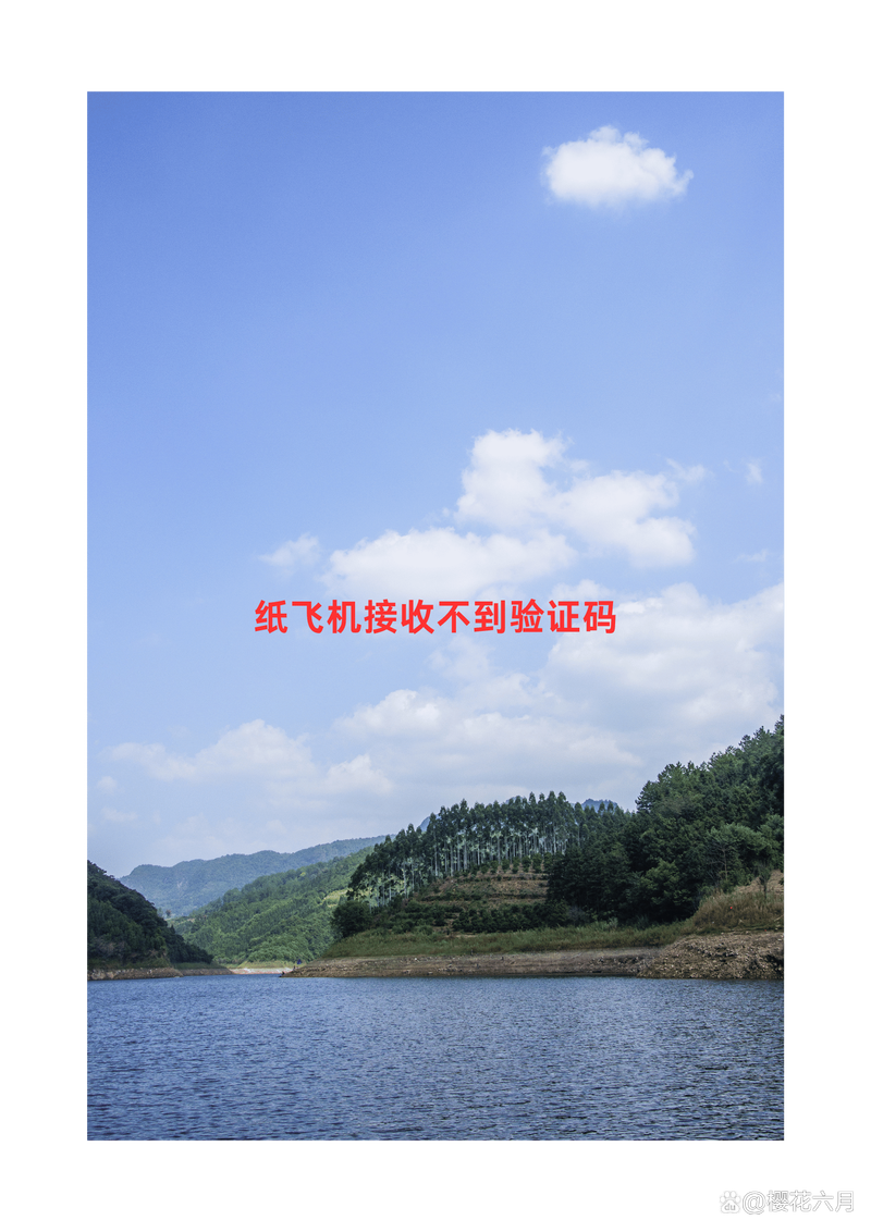纸飞机账号怎么注销,纸飞机注册收不到短信验证码