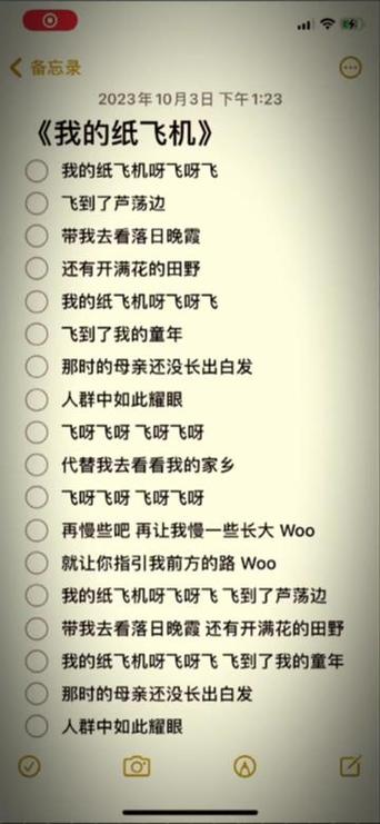 飞机下载抖音,飞机下载器怎么用