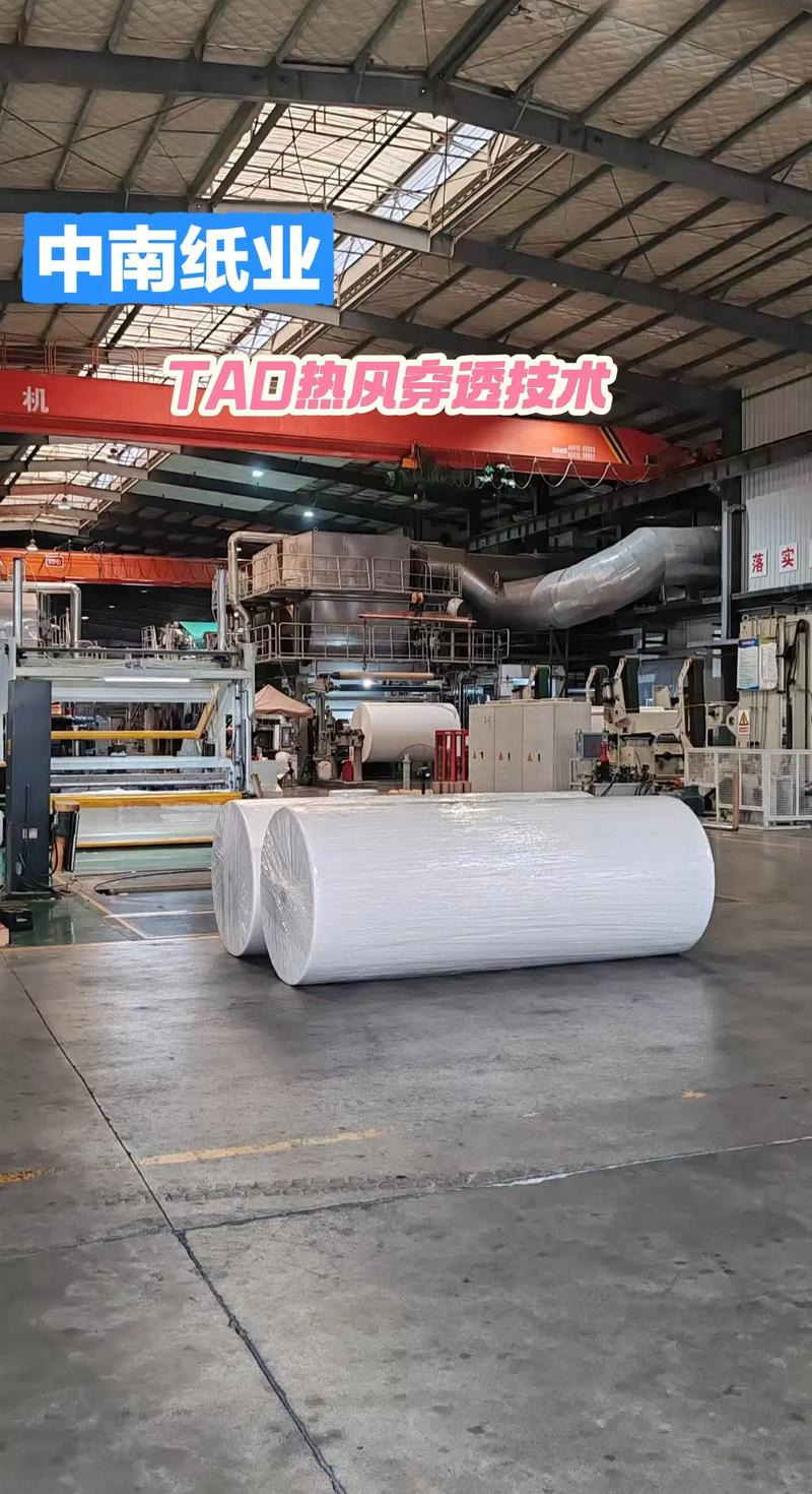 包含tad纸机全球几家生产的词条