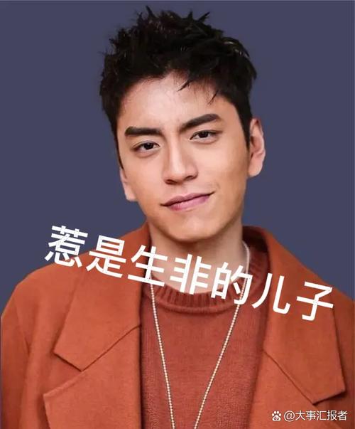 关于王大陆交保后露面的信息