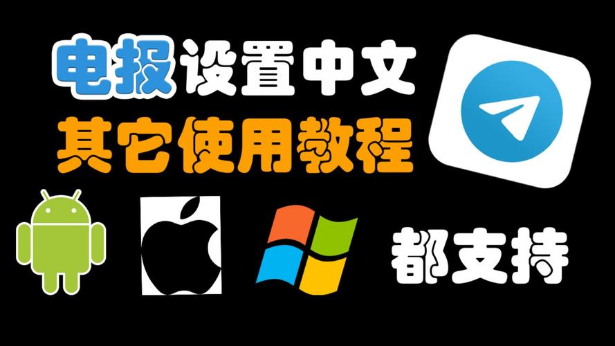 纸飞机中文插件设置,纸飞机app怎么设置中文