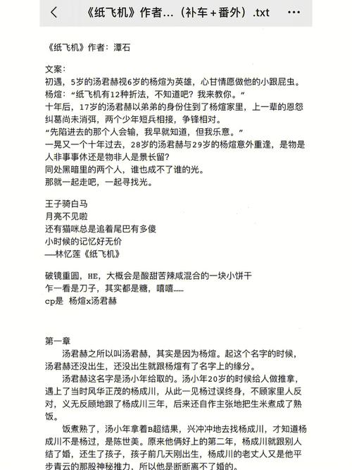 纸飞机小说无删减在线观看,纸飞机小说免费阅读无广告无弹窗