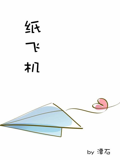 纸飞机美国号自动发卡网,纸飞机小说全文免费阅读无删减
